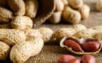 Allergie à l'arachide : découverte d'un traitement