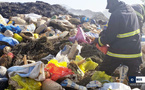 Ziguinchor : Incinération de produits prohibés d’une contre-valeur de 445 millions FCfa