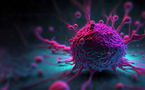 Cancers : Plus de 11.000 cas diagnostiqués en 2022