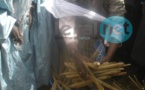 L'appel de Serigne Cheikh Saliou Mbacké pour les travaux champêtres 2015 du Daara de Lagane