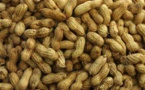 Arachide : une production record de plus de 1,1 million de tonnes (ministre)