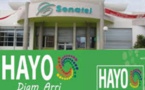 Des appels internationaux entrants : Sonatel contre Hayo