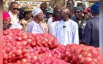 Conservation des produits agricoles : Mabouba Diagne annonce un programme de construction d’équipements