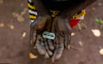 Excision collective de onze filles à Soumacounda : Le Réseau des jeunes pour la promotion de l’abandon des MGF, condamne fermement l'acte