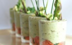 Mousse d’avocat citron et saumon