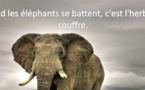 7 proverbes qui résument la vie africaine