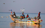 Pénurie de poisson au Sénégal : La pêche, un secteur halieutique en crise