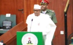 Nigeria : un scandale de ventes d'armes secoue le pays depuis plusieurs semaines