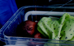 Drame et colère des populations à Bassoul : Une mère et son bébé meurent faute de sage-femme