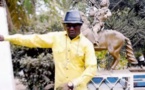 Vidéo-Nouveau clip de l'artiste sénégalais basé aux Etats-Unis, Mamadou Diaité dit Vieux: "Drianké"
