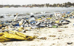 Protection du littoral :  La Mairie de Yoff porte plainte contre les pollueurs