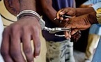 Thiaroye : Arrestation de l’individu qui insultait le Président Diomaye Faye et le Premier ministre Ousmane Sonko