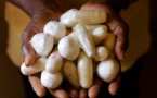 Trafic de drogue : La Sûreté urbaine arrête 2 Nigérians et un Sénégalais avec 16 boulettes et 7 pierres de cocaïne