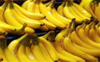 La banane a rapporté 6,5 milliards de FCFA aux producteurs en 2015