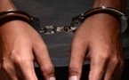 Ziguinchor : Deux individus interpellés avec 8 kg de chanvre indien, près du pont de Tobor