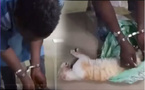 Médina / Arrêtés avec un chat égorgé : Les deux Nigériens vendeurs de "Dibi Haoussa", passent aux aveux