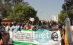 Vidéo - Des miliers de fidèles mourides à la marche contre la caricature de Serigne Touba