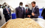 Fin de visite d’État en Guinée-Bissau : le Président Diomaye Faye plaide pour une coopération économique renforcée