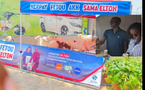 Elton Sénégal renforce sa proximité avec ses clients, à travers un don de moutons pour la Tabaski