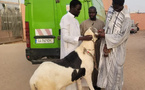 Tabaski 2025 : Ousmane Sonko offre un mouton à Serigne Mountakha Mbacké