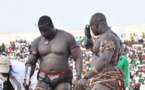 Modou Lô Vs Gris Bordeau officiellement ficelé: PAF décroche la revanche