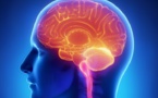 10 choses complètement incroyables sur les capacités folles de notre cerveau !