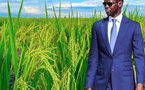 Visite économique dans le Nord: Diomaye prend le pouls du pays profond