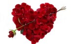 10 choses à faire à Saint-Valentin si on est célibataire