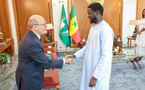 Partenariat stratégique : Bassirou Diomaye Faye reçoit le DG de l’AFD