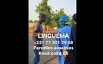 LINGUÉMA ET PAPE SIDY FALL OFFRENT UNE VOITURE À UN PASSANT : UN PRANK SOCIAL QUI CHANGE UNE VIE