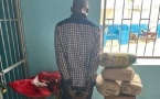 Kolda I Sécurité publique : Un trafiquant de chanvre indien arrêté à Batanguel