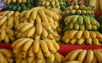 La banane : Une filière en plein essor vers 2029, selon un post du Ministre de l’Agriculture   Dr Mabouba Diagne