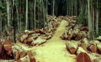 Bignona : Climat et forêts et développement…Le conseil départemental de Bignona pose le débat