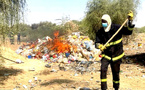 Vingt tonnes de produits illicites incinérés à Kédougou