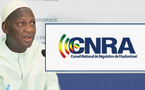 Affaire Africa 7:  Le CNRA déclare recevables les recours de Mme Oumou Wane