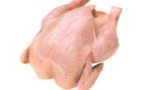 Les Sénégalais consomment entre 13 et 26 millions de poulets par an, selon Abibou Samb de Gmd