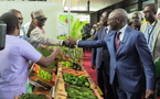 Horticulture au Sénégal : Un premier forum national pour transformer la crise en opportunité