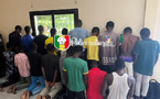 Escroquerie pyramidale à Saly : Démantèlement d’un réseau QNET, 17 personnes arrêtées