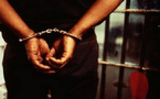 Almadies - Trafic de drogue : Arrestation d’un dealer avec 26 képas de kush