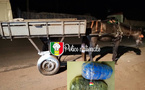 Trafic de drogue à Sandiara : 42 kg de chanvre indien saisis par l’OCRTIS