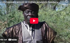 Cheikh Ahmadou Bamba Mbacké : Aux racines wolof du fondateur du Mouridisme