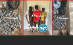 Kédougou : la Brigade des Stupéfiants interpelle trois individus en possession de chanvre indien et de Tramadol