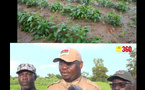Centre pénitentiaire agricole de Burkina Faso: Un vériable exemple d’insertion sociale de prisonniers