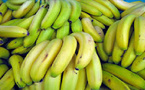 Mesure de promotion des bananes locales : Le gel des importations vire au cauchemar économique