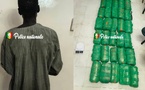Sécurité et lutte antidrogue : A Diourbel,  32,9 kg de chanvre indien saisis par la Brigade régionale des Stupéfiants