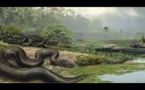Le Plus Grand Serpent &amp; Crocodile Du Monde [Documentaire Magnifique]