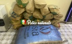 Lutte antidrogue : La Brigade régionale frappe fort à Kolda, 47 kg de chanvre indien saisis