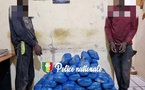 Kaolack : deux personnes arrêtées avec 83 kilos de chanvre indien à leur disposition