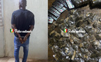 Kédougou – Trafic de drogues : La BRS saisit du Tramadol et du Kush à Kharakhena