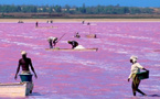 Lac Rose : La société civile refuse un urbanisme au détriment de l’écosystème et alerte...